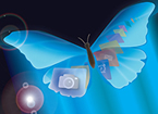 Oferecendo orientação de experiência de usuário: Como conseguir adesão A butterfly with tech buttons on its wings