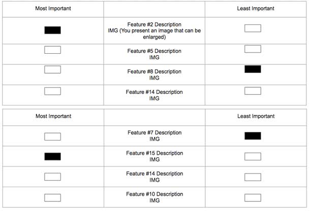 Three columns: In the center is a list of product options (with the product name, short description, and an image). Far left column is labeled “least important,” far right column is labeled “most important” with selection boxes for each product.