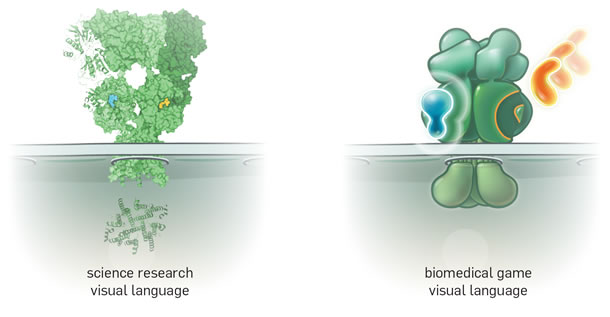 Two examples of visual language from science research and biomedical games