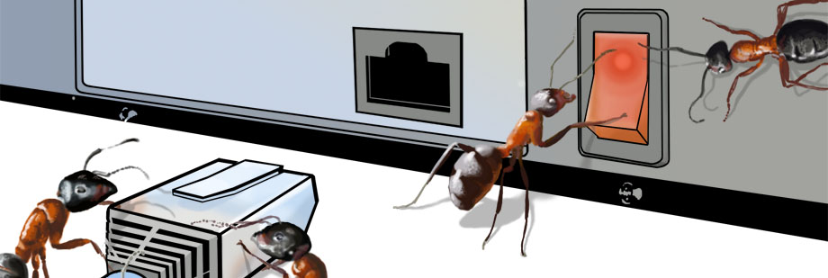 Ants work together to plug a cable into a computer