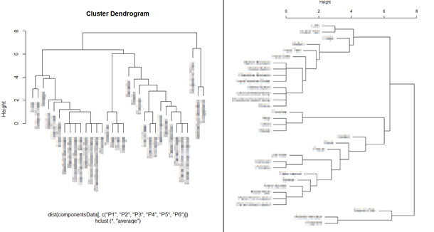 Screen shots showing the dendogram image before and after.