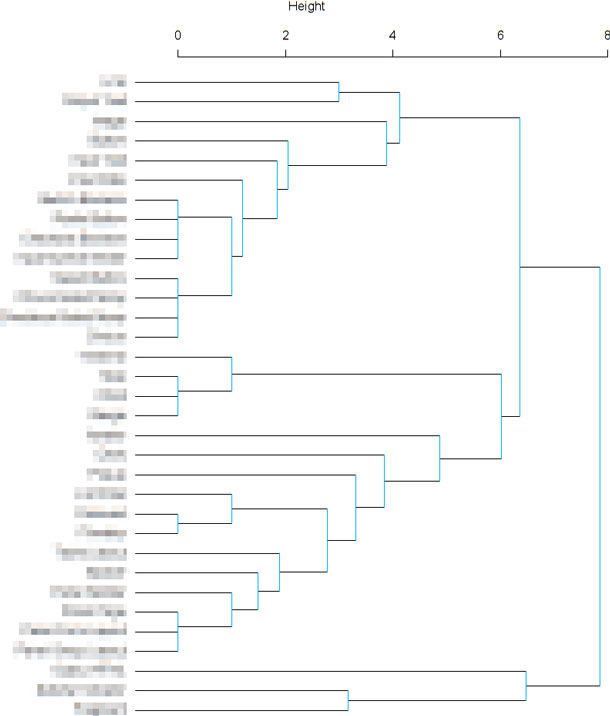 A screen shot of the denogram with all the labels in a single vertical line.