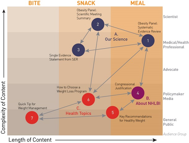 Meeting Your Mission: A User-Centered Approach to Content Strategy ...