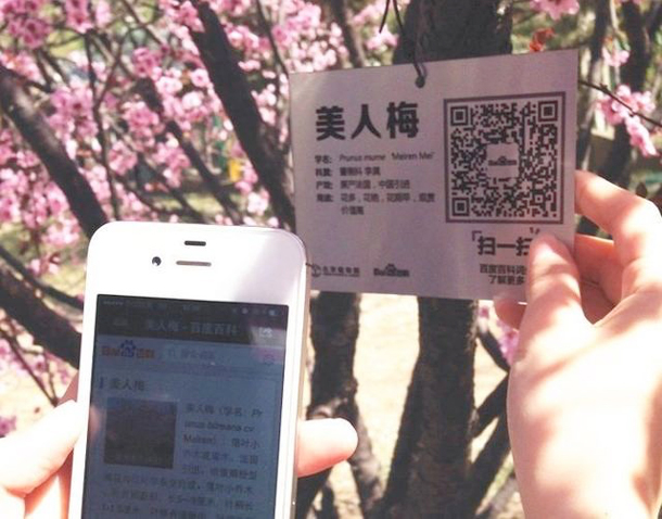 A user scans a QR code hanging on a tree in the Beijing Botanical Gardens. 